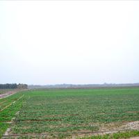 Земельный участок в Греции