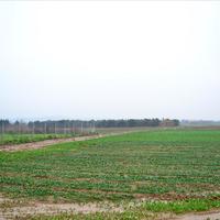 Земельный участок в Греции