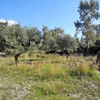 Other in Greece, 140 sq.m.