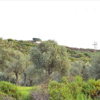 Land plot in Greece