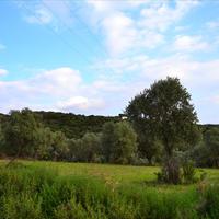 Land plot in Greece