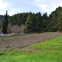 Земельный участок в Греции