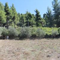 Land plot in Greece