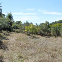 Land plot in Greece