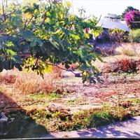 Земельный участок в Греции