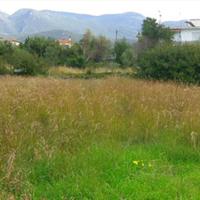 Land plot in Greece