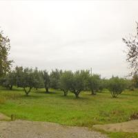 Земельный участок в Греции