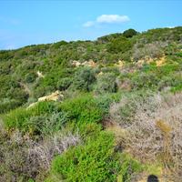 Земельный участок в Греции