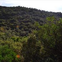 Земельный участок в Греции