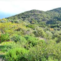 Земельный участок в Греции