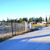 Business center in Greece, 1566 sq.m.