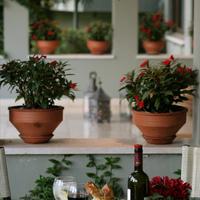 Отель (гостиница) в Греции, 3370 кв.м.