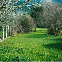 Земельный участок в Греции