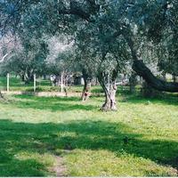 Земельный участок в Греции