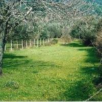 Земельный участок в Греции