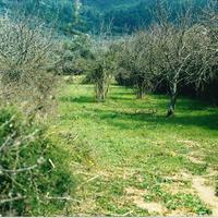 Земельный участок в Греции