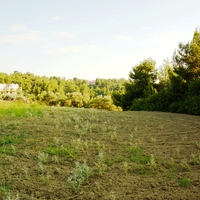 Land plot in Greece