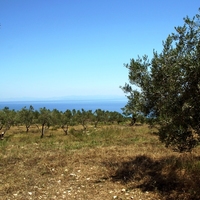 Land plot in Greece