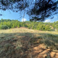Land plot in Greece