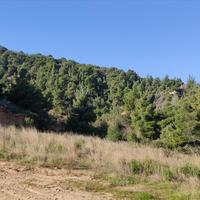 Land plot in Greece