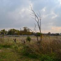 Земельный участок в Греции