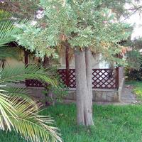 Other in Greece, 60 sq.m.