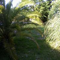 Other in Greece, 60 sq.m.