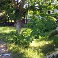 Other in Greece, 60 sq.m.