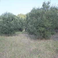 Земельный участок в Греции