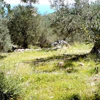 Land plot in Greece