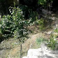 Other in Greece, 165 sq.m.