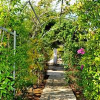 Villa in Greece, 380 sq.m.