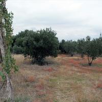 Земельный участок в Греции