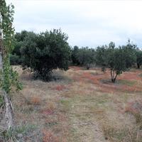 Земельный участок в Греции