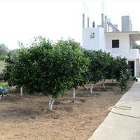 Other in Greece, 90 sq.m.