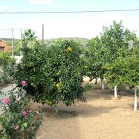 Other in Greece, 90 sq.m.