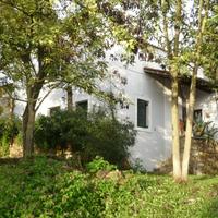 Другое в Греции, 1000 кв.м.