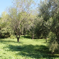 Другое в Греции, 1000 кв.м.