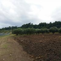 Land plot in Greece