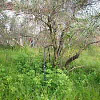 Земельный участок в Греции