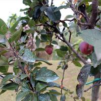 Other in Greece, 126 sq.m.