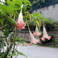 Other in Greece, 126 sq.m.