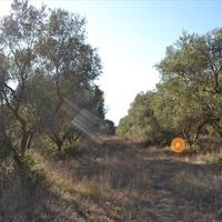 Земельный участок в Греции