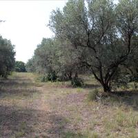 Земельный участок в Греции