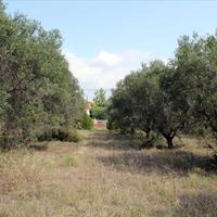 Земельный участок в Греции