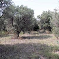 Земельный участок в Греции