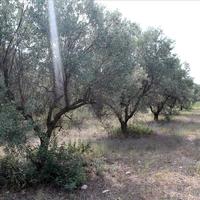 Земельный участок в Греции