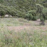 Земельный участок в Греции