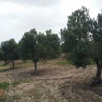 Земельный участок в Греции