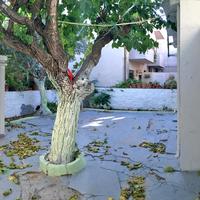 Земельный участок в Греции